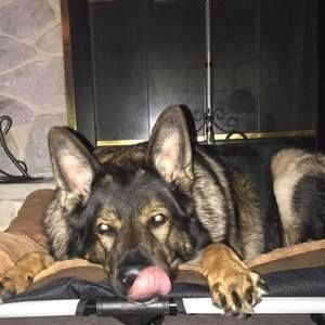 Meet your Posher, Sindi